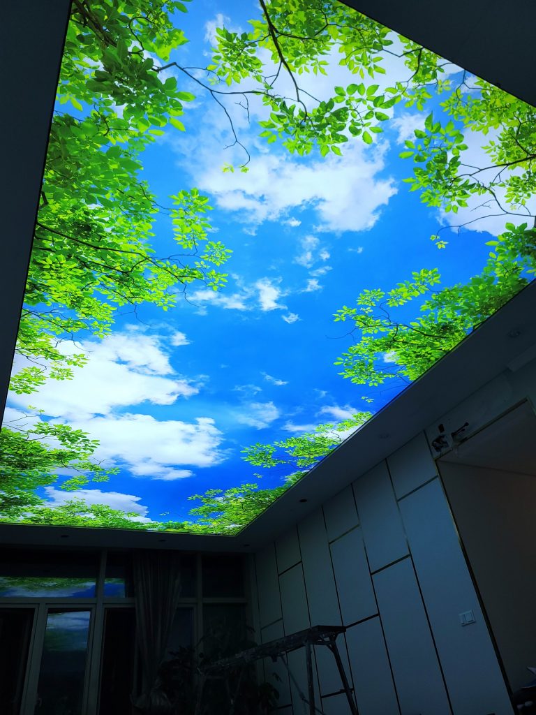 IN 3D TẠI CĂN HỘ CAO CẤP QUẬN 2 TP.HCM